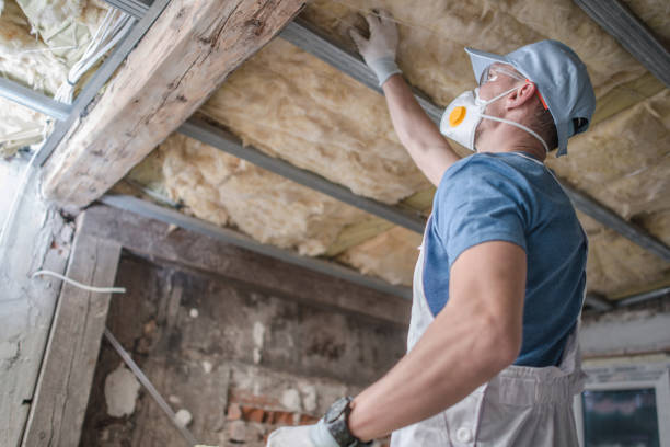 Best Insulation Contractors for Homes  in Dyersburg, TN